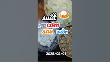 suất cơm trưa của bạn chuẩn bị lễ thế nào? #food #shorts #lemoncoder