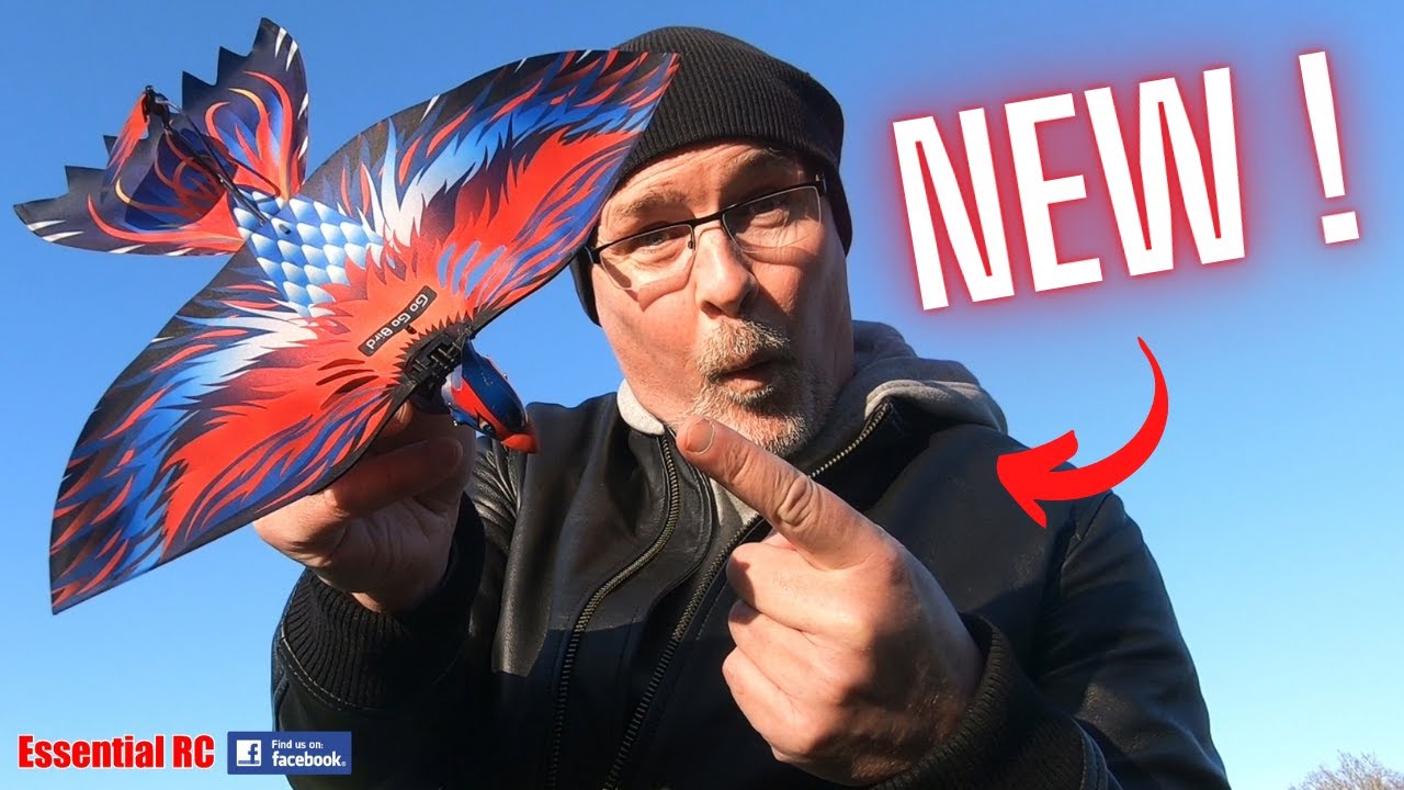 THIS WAS EASY AND FUN TO FLY ! Go Go Bird radio controlled (RC) 'The Bennu' Flapping Ornithopter