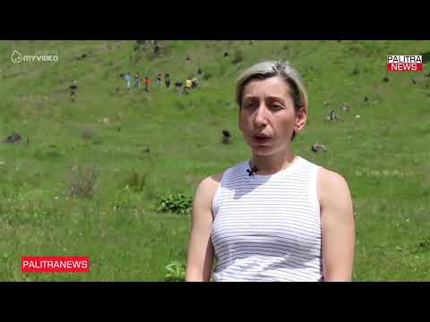 ბორჯომის ხეობაში ხანძრით დაზიანებულ ტერიტორიაზე შუალედურ მონიტორინგი განხორციელდა