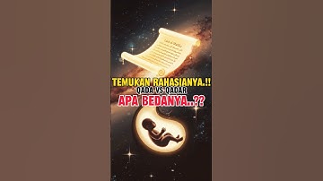 Perbedaan Qada Dan Qadar #shortvideo #islam #islamic