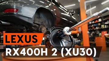 How to change rear shock strut on LEXUS RX400h 2 (XU30) [TUTORIAL AUTODOC]