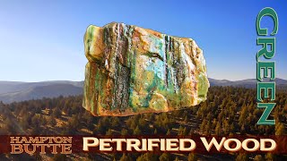 Green Petrified Wood; Rockhounding Hampton Butte, Oregon #Agate #Jasper #thefinders