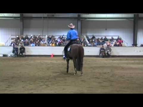 Mizzen Whizzen wins the 2009 Reining Alberta Open ...