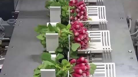 KWIK LINE VOLAUTOMAAT