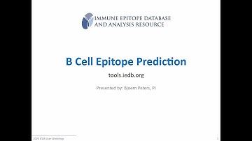 2020 User Workshop – 2.6 – B Cell Epitope Prediction