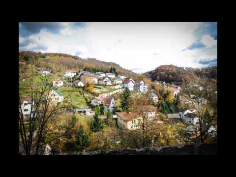 MARTINIMARKT Schloss - Steyregg 2010