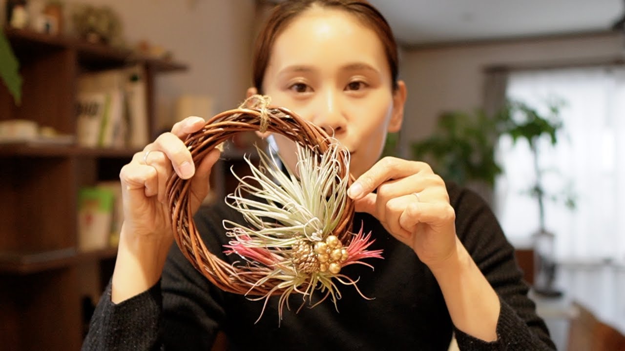 Easy DIY: Christmas Wreath with Air Plants from the Dollar Store