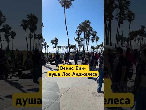Бейне: Лос-Анджелес жағажай велосипедін жалға алу