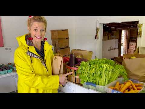 Shoppin' Broccoli | Fun, Learning, Funny and Behind the Scenes Clips