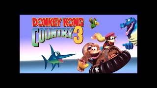 Donkey Kong Country 3 Water World remastered