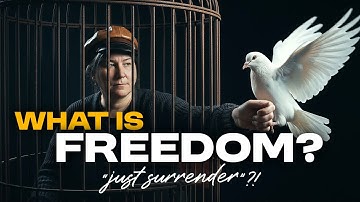 Deconstructing Freedom: How Liberation Narratives Serve the System