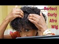 Wigs For Black Women | Perfect Short Curly Afro For Any Season or Occasion | VictoriasWig Review