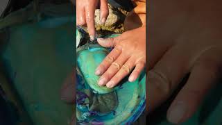 😲😱Girl Discovers Mutated Blue Super Clam Shells