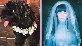 Jenny Lewis Marries Her Dog