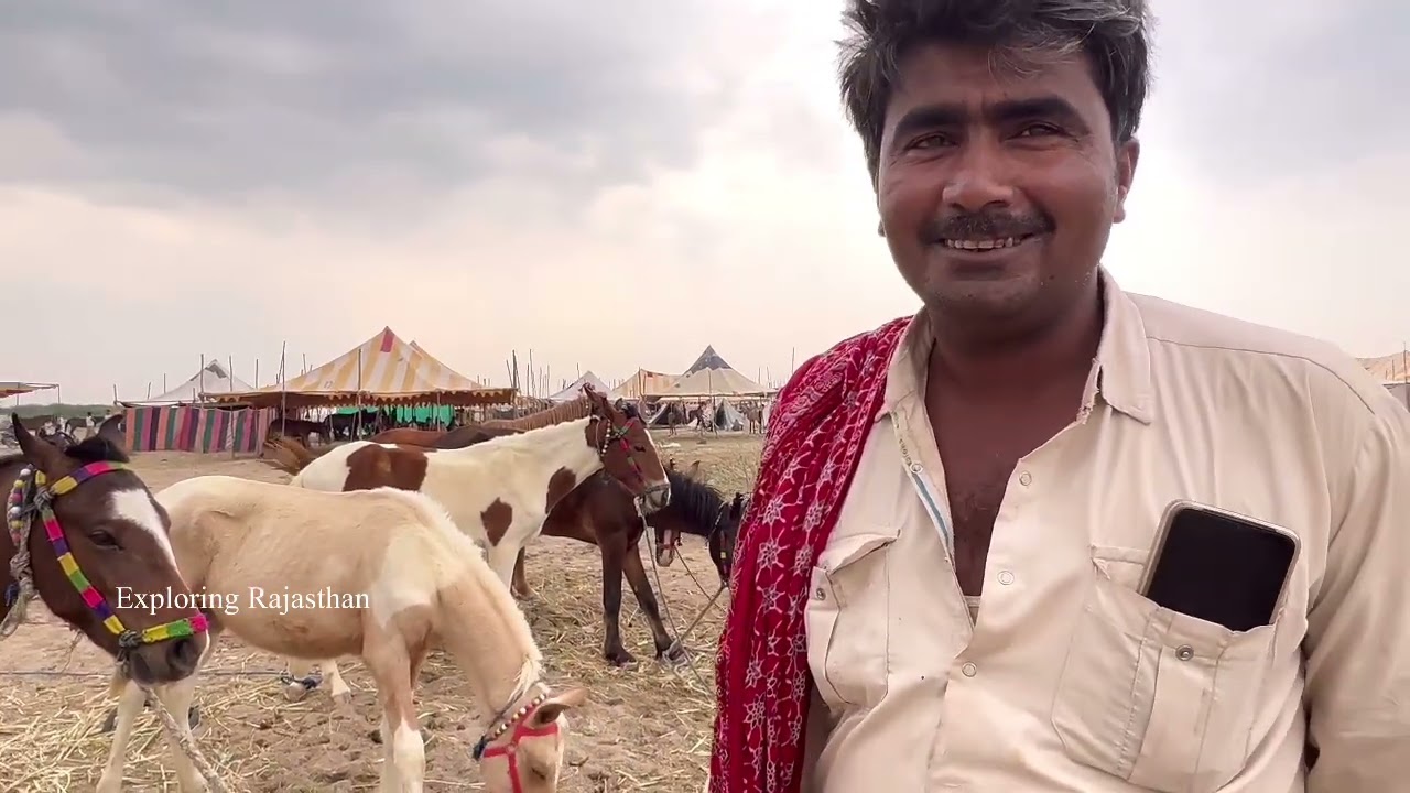 कच्छ भुज से आये सिंधी नस्ल के बच्चे 20 हज़ार मे ले जावो बालोतरा से #exploringrajasthan