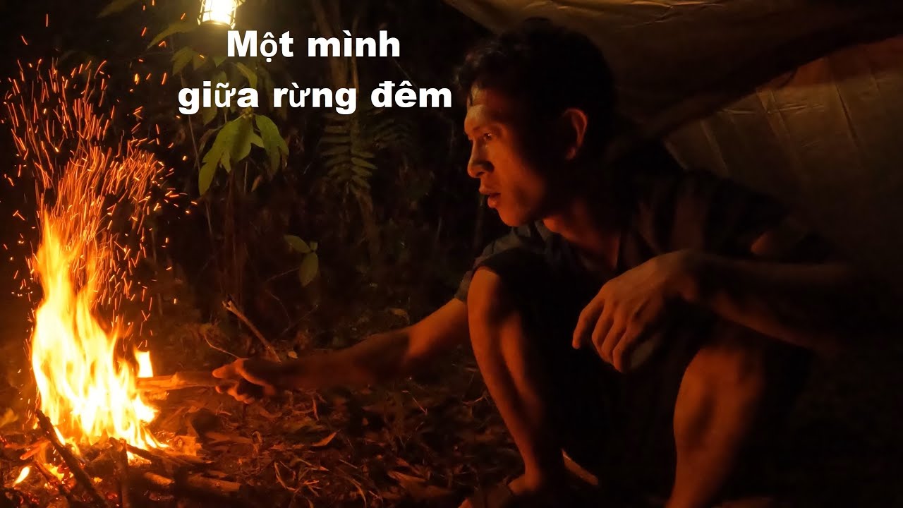 Cắm Trại Trong Rừng 1 Đêm | Dưới Thân Cây Khô Bị Ngã & Nướng Thịt Bò