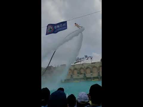 캐리비안베이 플라잉보드 함성 포인트 #shorts