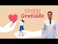 Os Mistérios Ocultos da Gratidão! Desvendados pelo Dr. Fernando Lemos - Planeta Intestino.