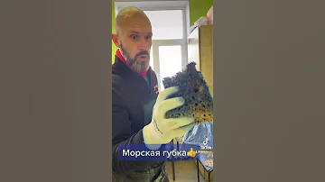 Эффект морской губки! Декоративная штукатурка Киев