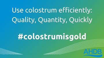 Colostrum Management
