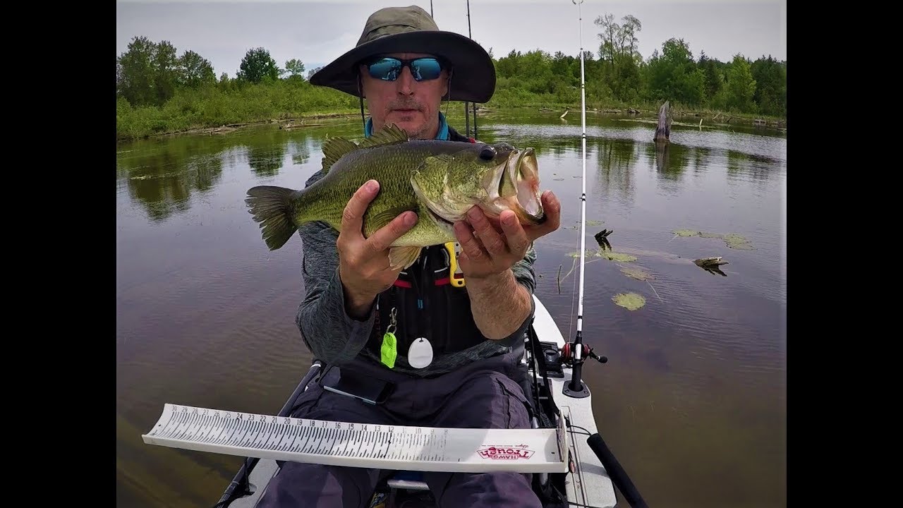 Kayak fishing Omemee Pond Kawartha Lakes YouTube
