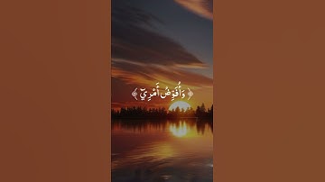 تلاوة مريحة لقلبك 💙🌿 بصوت الشيخ ياسر الدوسري  #راحة_نفسية #ارح_قلبك #explore