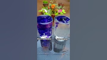 Ujala Vs salt water l simple science experiment l easy science experiment #Shorts