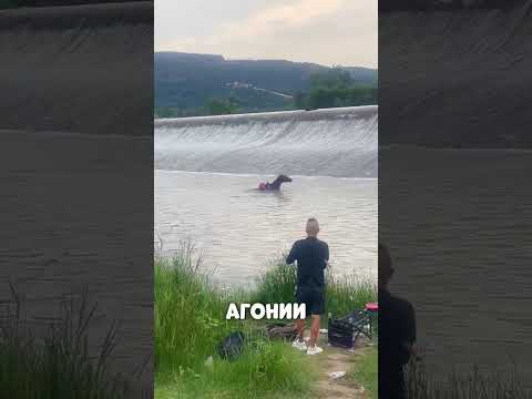 Казахский РЫБАК спас утопающую ЛОШАДЬ😳🔥🐴