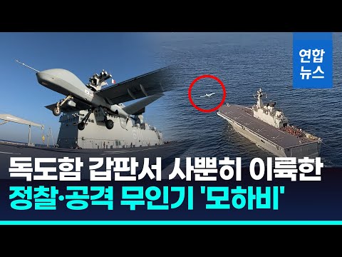 항모 함재기처럼…정찰·공격 무인기 독도함서 날아올랐다 / 연합뉴스 (Yonhapnews)