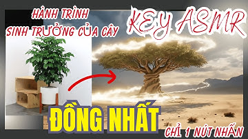 🔥 Tạo Video Veo3 Kéo Dài Video 5-10 Phút: Đồng Nhất Cảnh + Chủ thể + Nhân Vật Hướng Dẫn Chi tiết
