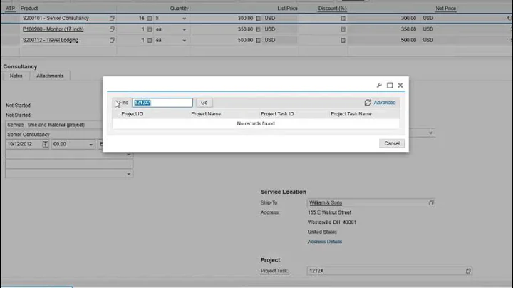 SAP Business ByDesign Projects