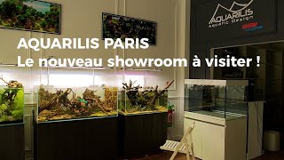 Aquarilis Paris Ouverture Dun Showroom Aquascaping À Paris