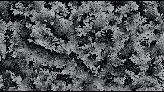 Virus.DOS.Lichen