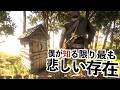 【RDR2で最も闇が深い存在】RDR2MODでストーリー攻略#11