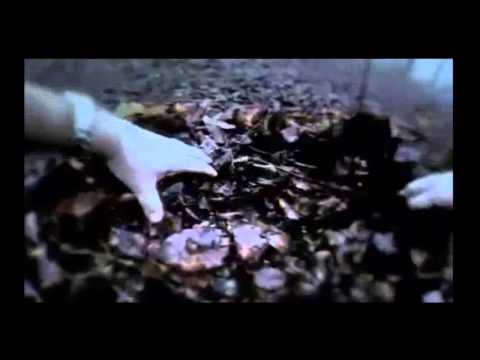 HYSTERIA PROJECT 2