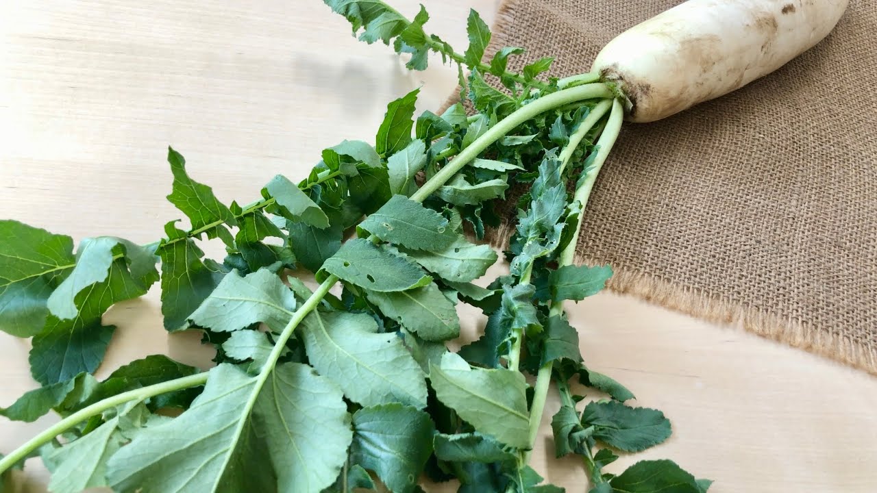 大根の葉〈野菜の食べ方＆調理方法〉by食育マルシェおうち便 - YouTube