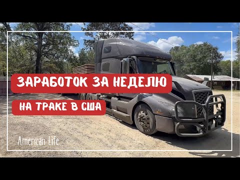 Сколько Я Заработал