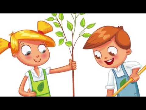 Video: Çocuklar İçin Kolay Tohumlar: Çocuklarla Tohumdan Büyümek İçin İyi Bitkiler