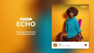 Amapiano Instrumental 2024 | Amapiano Type Beat | Afrobeat 'Echo'