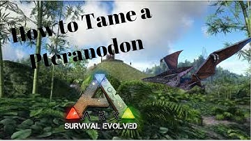 Ark Survival Evolved - How to Tame a Pteranodon