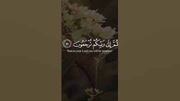 سورة السجدة | الآية ١١ تلاوة عبد الرحمن مسعد