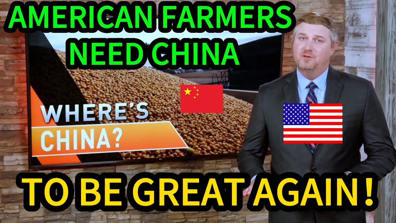 American TV Shows PANIC: Where is China? Why Haven't They Bought Our Soybeans?