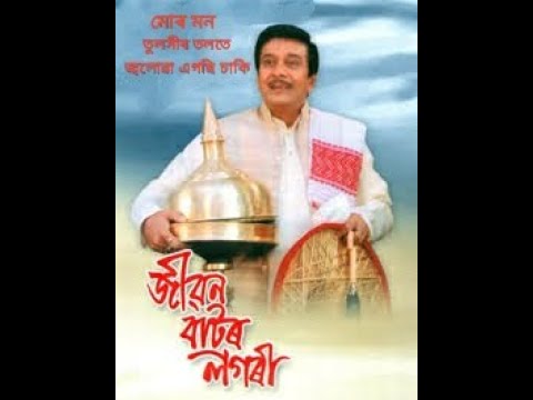 Mur Mon Tuloxir Tolote Assamese song  jibon bator logori  Nipan Goswami