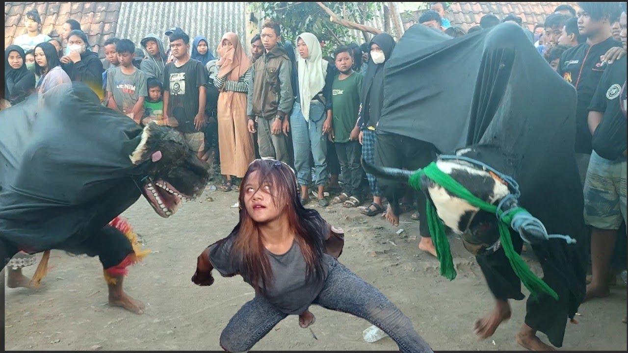 Bantengan Putro Anom Budoyo Terbaru Ndadi Masal live Jabaran Mojowarno