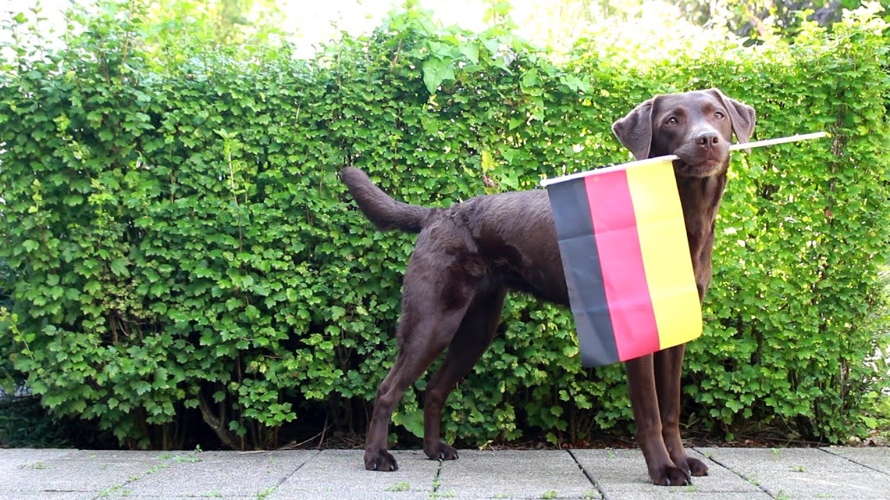 Em Viertelfinale Deutschland Em Viertelfinale Deutschland