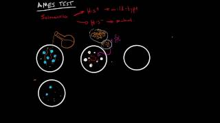 Download Ames Test For Mutagenic Chemicals Video MP3 Ames Test For Mutagenic Chemicals