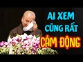 Người Vô Cảm nhất xem bài giảng này cũng phải Cảm Động vì nó quá hay - Thầy Thích Pháp Hòa