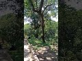 River Bank with beautiful seen
