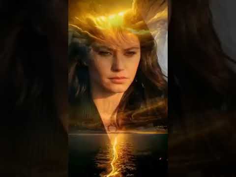 هاني شاكر قلبي الي انت ظلمتو