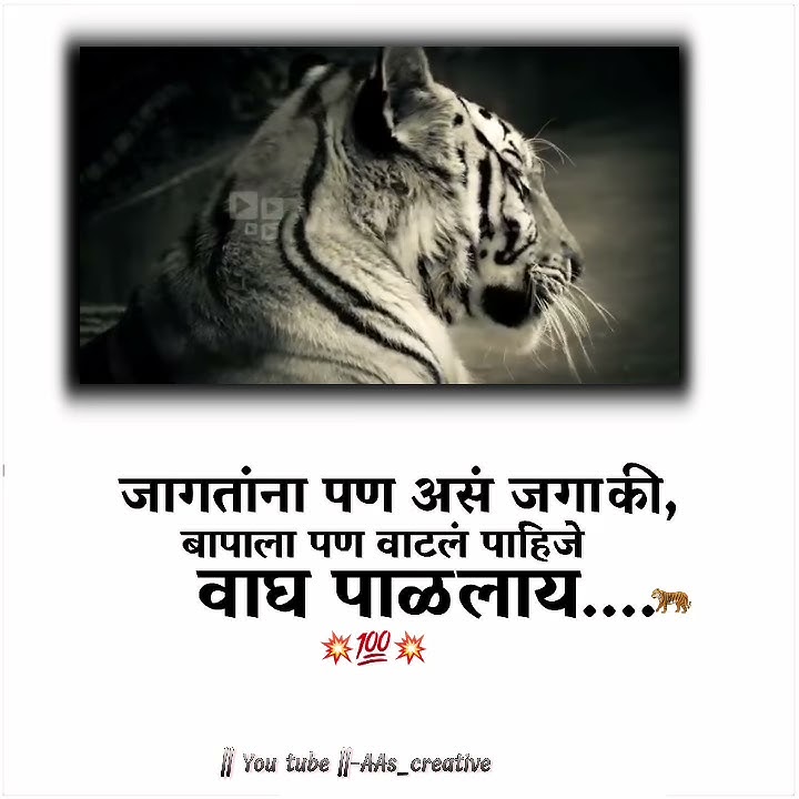 Attitude WhatsApp status|Cham Cham Karta Hai ye Nashila Badan (Dhamal Mix)  | Bengal Tiger |